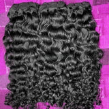 Raw Burmese Curl